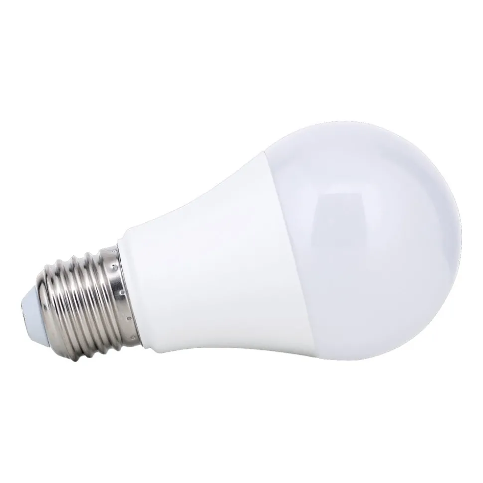 LED lamp E27 A60 5W 500 lm 2.700 K, opaal
