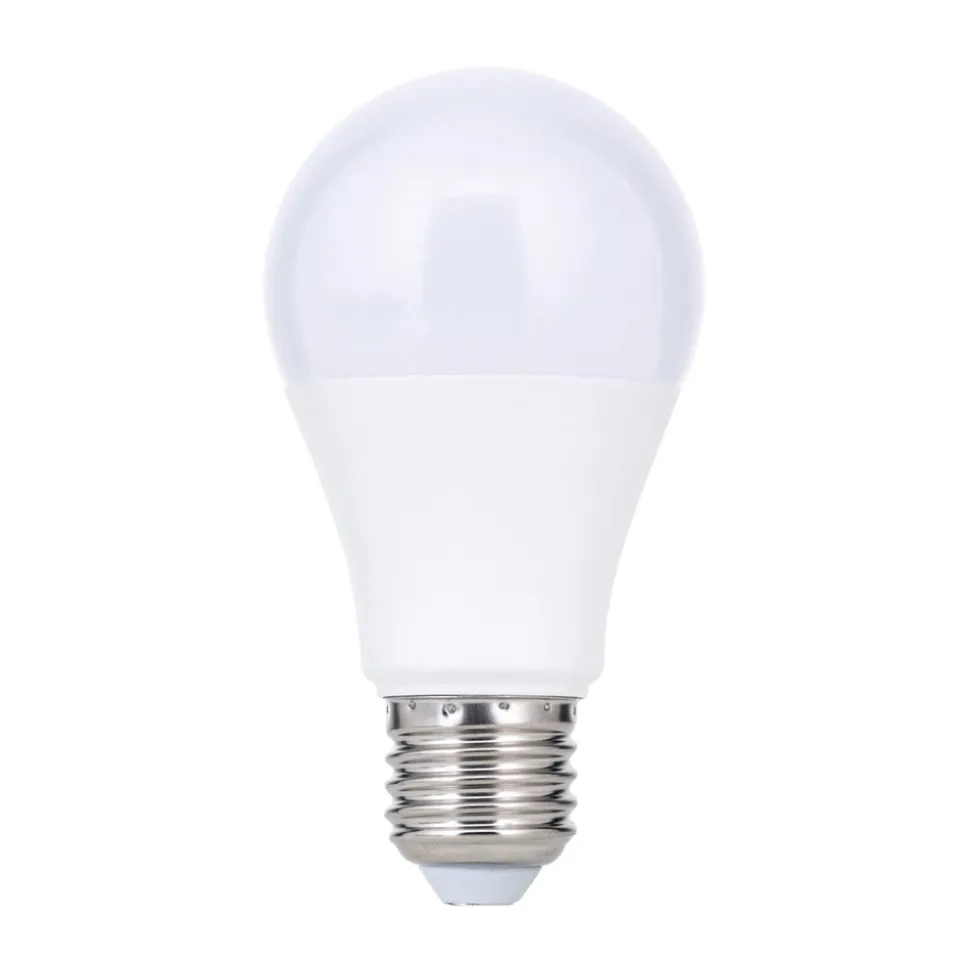 LED lamp E27 A60 5W 500 lm 2.700 K, opaal
