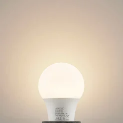 LED lamp E27 A60 8W 3.000K opaal, 2 per set
