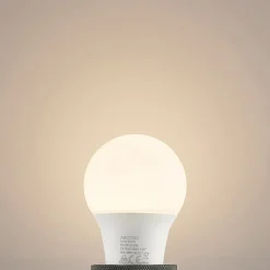 LED lamp E27 A60 4,9W 3.000K opaal 10 per set
