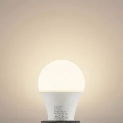 LED lamp E27 A60 9,5W 3.000K opaal, 2 per set