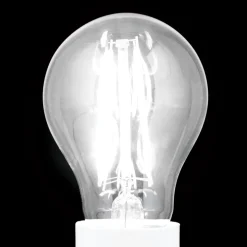 LED lamp E27 8W filament 2.700K 806 lm dimbaar