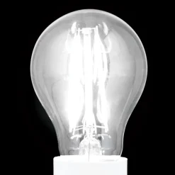 LED lamp E27 8W filament 2.700K 980 lm dimbaar