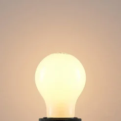 LED lamp E27 4W 2.700K dimbaar, opaal