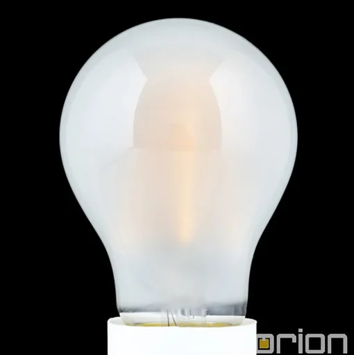 LED lamp E27 10W 2.700K mat dimbaar