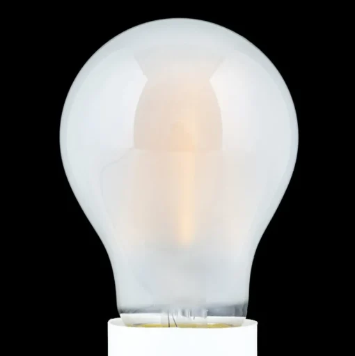 LED lamp E27 4,5W 2.700K mat dimbaar