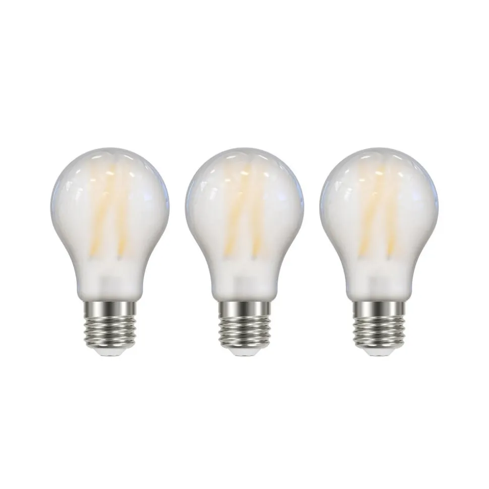 LED lamp mat E27 A60 5W 2700K 1060lm 3st