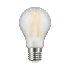 LED lamp mat E27 A60 5W 2700K 1060lm 3st