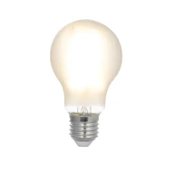 LED lamp, mat, E27, 5W, 3000K, 1060 lm