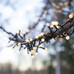LED lichtketting Berry Mini met timerfunctie wit