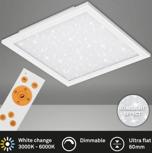 LED paneel Pallas, wit, dimbaar, CCT, 59,6x59,6cm