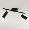 LED plafondlamp Camille, zwart, twee lampjes