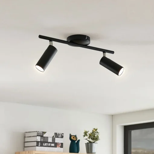 LED plafondlamp Camille, zwart, twee lampjes
