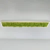 LED plafondlamp Green Knut met echt mos