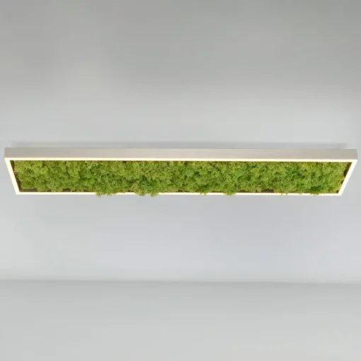 LED plafondlamp Green Knut met echt mos