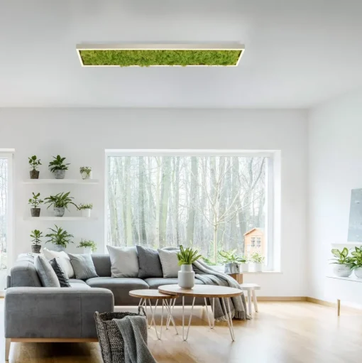 LED plafondlamp Green Knut met echt mos
