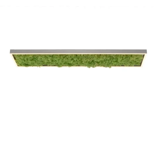LED plafondlamp Green Knut met echt mos