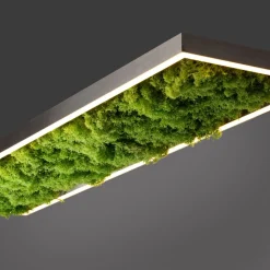 LED plafondlamp Green Knut met echt mos