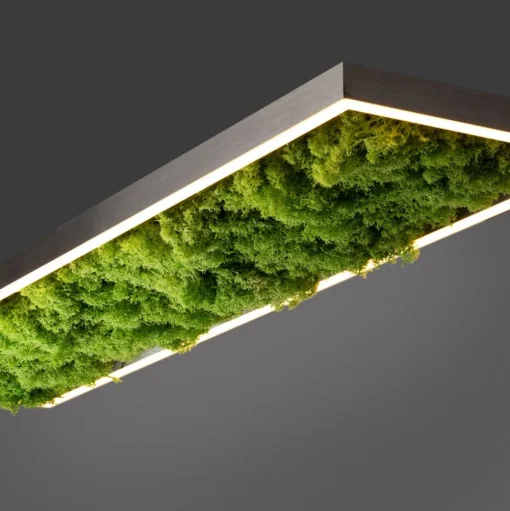 LED plafondlamp Green Knut met echt mos