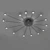 LED plafondlamp Peacock, 15-lamps, zwart