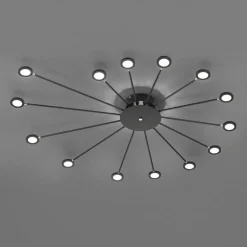LED plafondlamp Peacock, 15-lamps, zwart