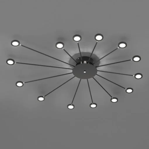 LED plafondlamp Peacock, 15-lamps, zwart