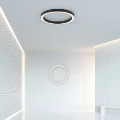 LED plafondlamp PURE Lines, Ø 50 cm, antraciet, CCT, afstandsbediening