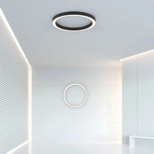 LED plafondlamp PURE Lines, Ø 50 cm, antraciet, CCT, afstandsbediening
