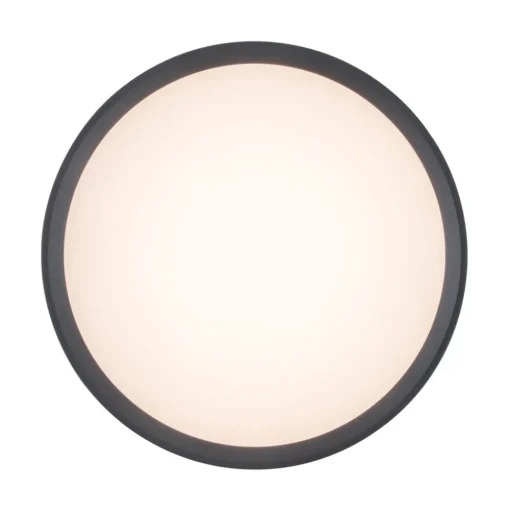 LED plafondlamp Rola, buiten, antraciet, Ø 18 cm
