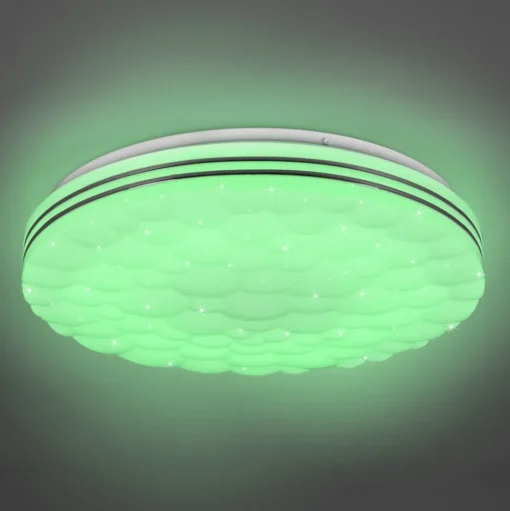 LED plafondlamp Tiger RGB CCT Starlight-effect