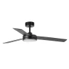 LED plafondventilator Barth met lamp, zwart