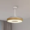 LED plafondventilator Coin Mini hout DC stil Ø 91 cm CCT