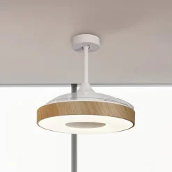 LED plafondventilator Coin hout DC-motor stil Ø 106 cm CCT