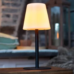 LED tafellamp Keno, aardspies, trekschakelaar accu