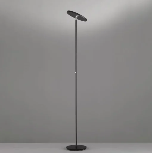 LED vloerlamp Bever, zwart, metaal, CCT, dimbaar, 180 cm