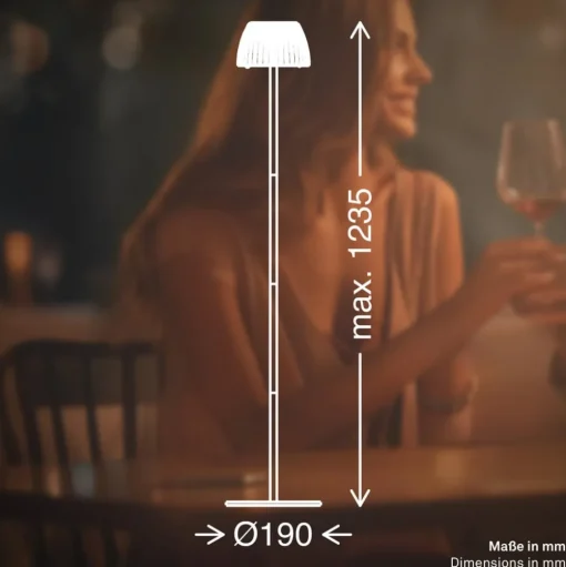 LED vloerlamp Brilo unplugged Riffle, antraciet