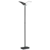 LED vloerlamp Dual CCT, dimbaar, zwart