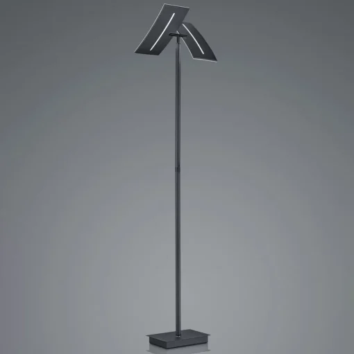LED vloerlamp Dual CCT, dimbaar, zwart