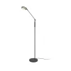 LED vloerlamp Franklin, sensordimmer, antraciet