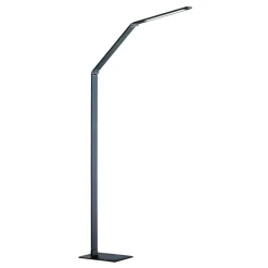 LED vloerlamp Geri sensordimmer CCT antraciet