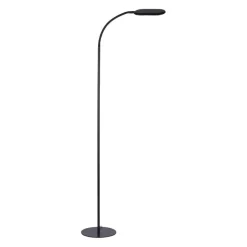 LED vloerlamp Kelly, CCT dimbaar