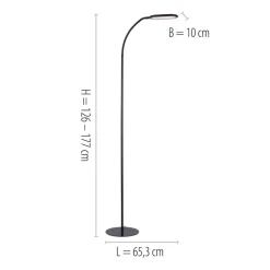 LED vloerlamp Kelly, CCT dimbaar