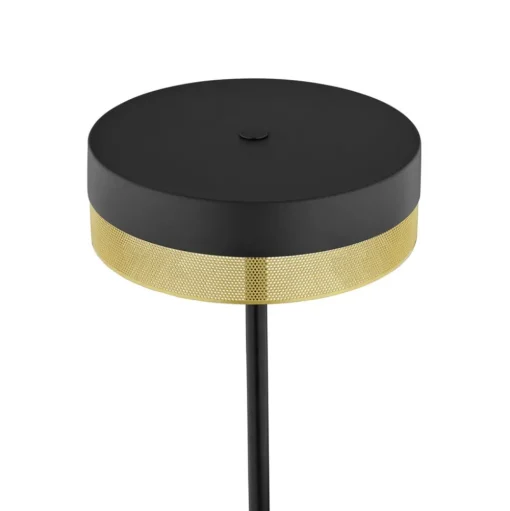 LED vloerlamp Mesh met dimmer, zwart/goud