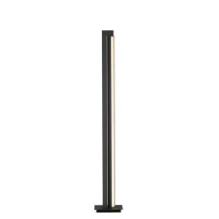 LED vloerlamp PURE Lines, antraciet, afstandsbediening, 140 cm