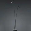 LED vloerlamp Tom, 2-lamps, zwart