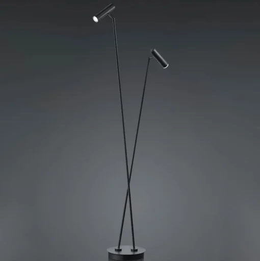 LED vloerlamp Tom, 2-lamps, zwart