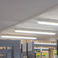 LED-kuiplamp parsa-PSO, 160 cm, 9.821 lm