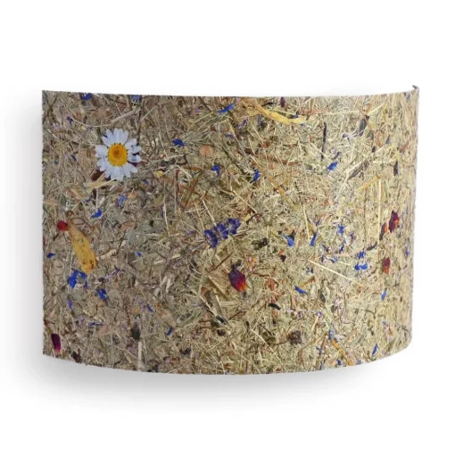 LeuchtNatur Cortex wandlamp alpenweide