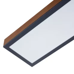 Lindby Laviona plafondlamp met CCT, 80 cm