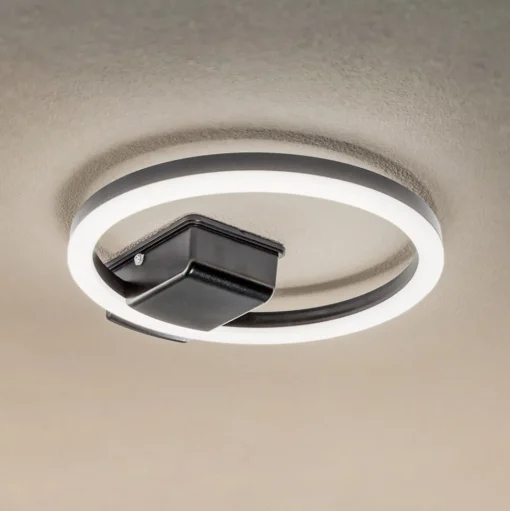 Lindby LED buiten plafondlamp Finian, Ø 31 cm, CCT, dimbaar